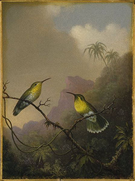 Two Humming Birds